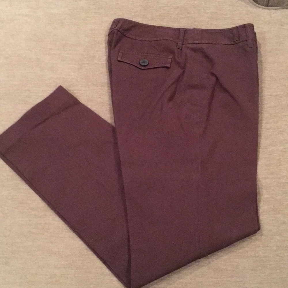 Ann Taylor pants